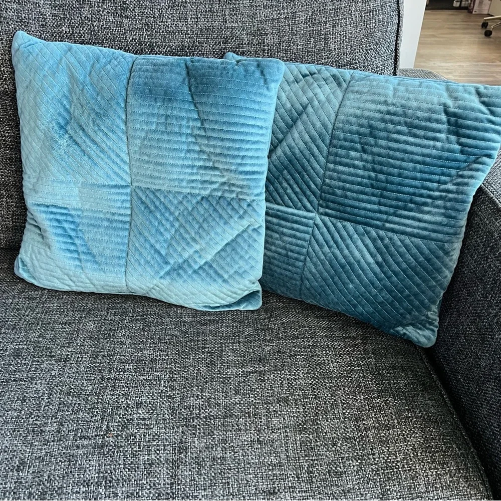 Pier 1 Imports Velvet Throw Pillows- set of 2